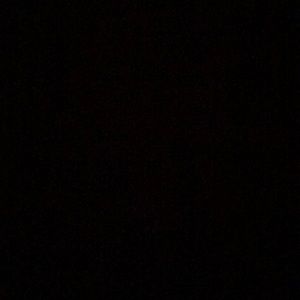 Meet your Posher, Jackson